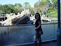 Sea World-8